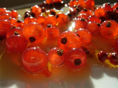 Johannisbeeren._Juni.JPG