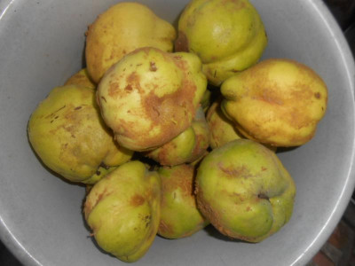 DSCN0802.JPG