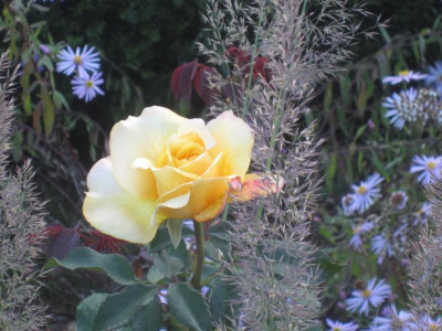 IMG_1793.JPG