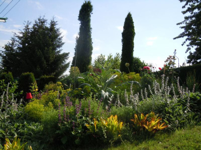 DSCN9668.JPG