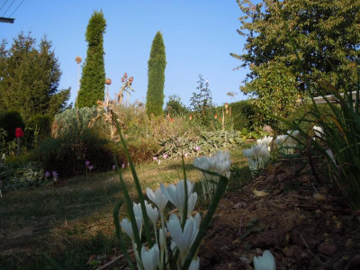 DSCN0197.JPG