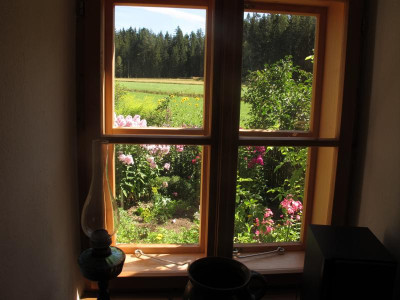 ausdemfenster3.JPG