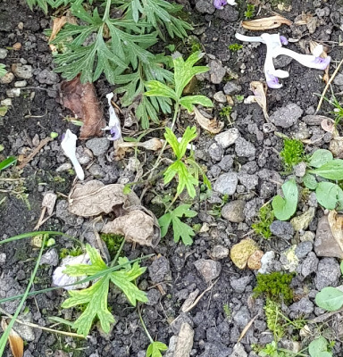 20200922_174914_1_1.jpg