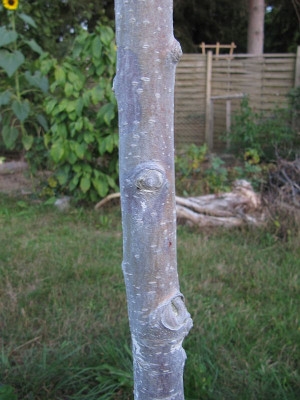IMG_2200_Topaz_22Sept2020_.jpg