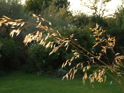 2020_0625September230056.JPG