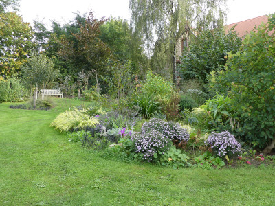 2020-09-24 Birkenhain 1.jpg