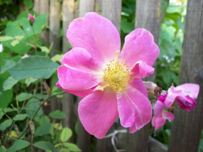Ann_K_1174.jpg