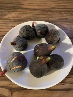 Pastiliere_Negronne_240920.jpg
