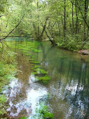 rhumequelle_3a.jpg