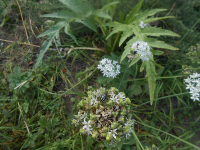 DSCN0840.JPG