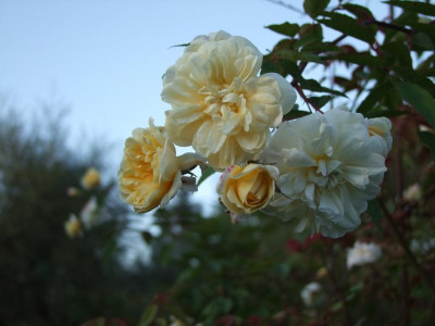2020_0627September250144.JPG