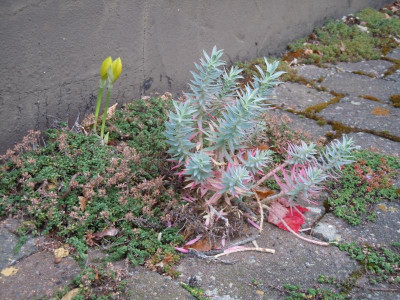DSCN0234.JPG