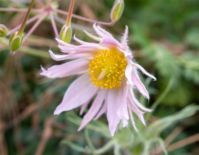 20200927_1.jpg