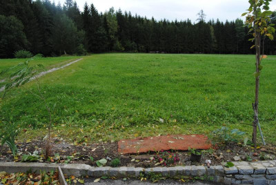 DSC_1515.JPG