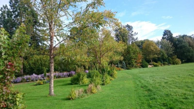 Bressingham Gardens2.jpg