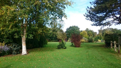 Bressingham Gardens3.jpg