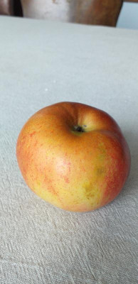 20200926_104636.jpg