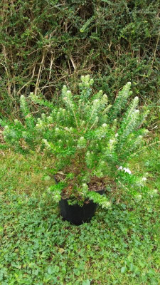 20200928_114135.jpg