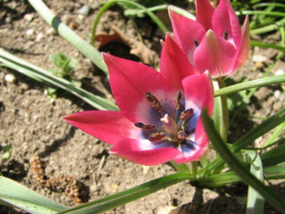 comp_foto200803.jpg