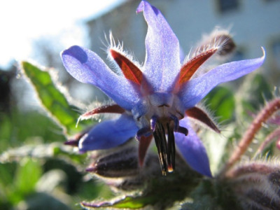 comp_foto200806.jpg