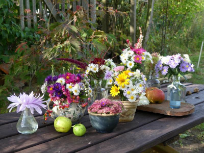 2020-09-29 Gartenimpressionen 5.jpg