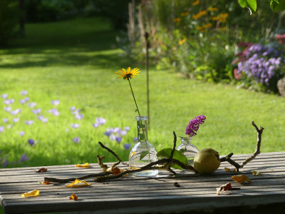 2020-09-29 Gartenimpressionen 1.jpg