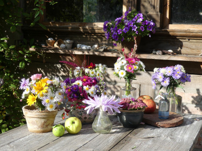 2020-09-29 Gartenimpressionen 4.jpg