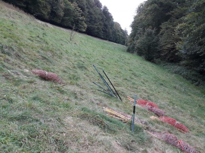 Lummerkebeweidungsergebnis20.jpg