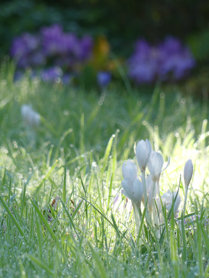 2020-09-30 Gartenimpressionen 6.jpg
