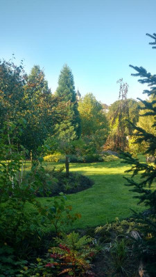 IMG_20201001_105718370_HDR.jpg