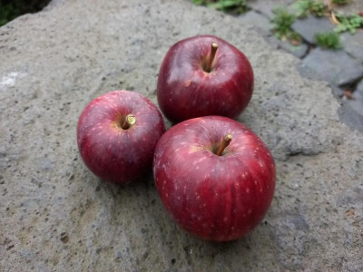 20201002_153655.jpg