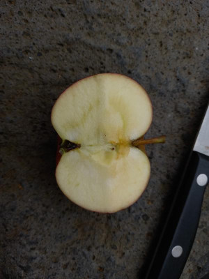 20201002_151815.jpg