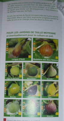flyer-baud.jpg