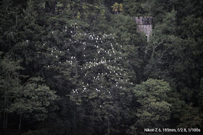 _DSC1536-01.jpeg