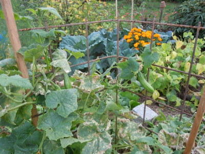 DSCN0278.JPG