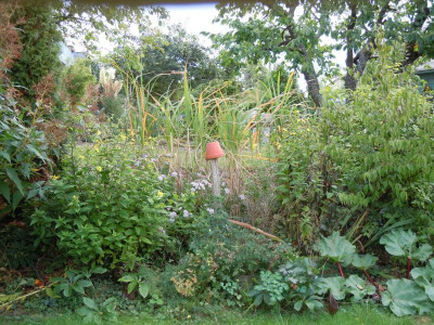 DSCN0266.JPG