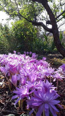 20200930_140003.jpg