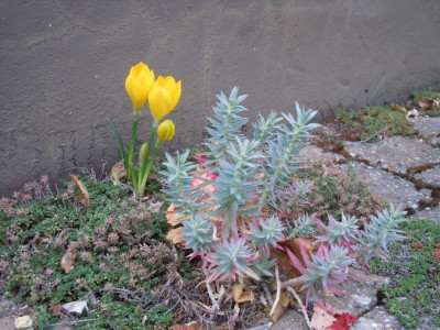 DSCN0308.JPG