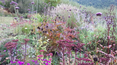20201003_105156.jpg