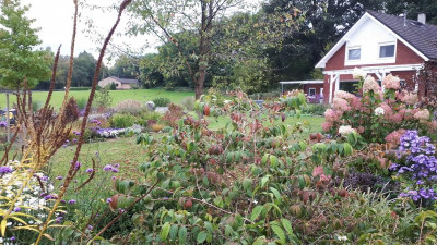 20201003_110729.jpg