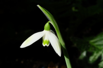 DSCF2925_4950.JPG