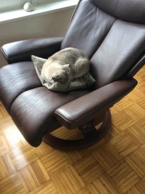 image.jpg