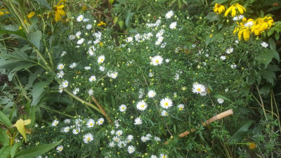 20201003_145154.jpg