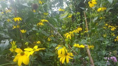 20201003_150659.jpg