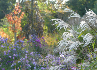 2020-10-03 Gartenimpressionen 4.jpg