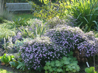 2020-10-03 Gartenimpressionen 5.jpg