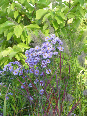 2020-10-03 Gartenimpressionen 9.jpg