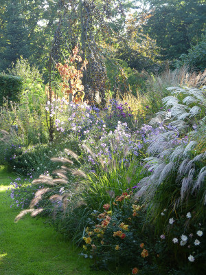 2020-10-03 Gartenimpressionen 13.jpg