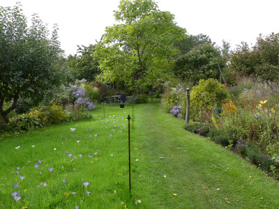 2020-10-03 Gartenimpressionen 28.jpg