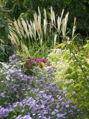 2020-10-03 Gartenimpressionen 29.jpg